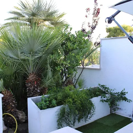 Serenity -8 Posti 50 Mt Dal Mare Capitolo *