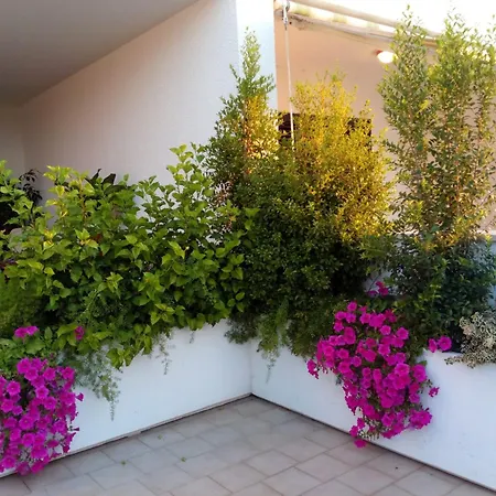 Serenity -8 Posti 50 Mt Dal Mare Capitolo *